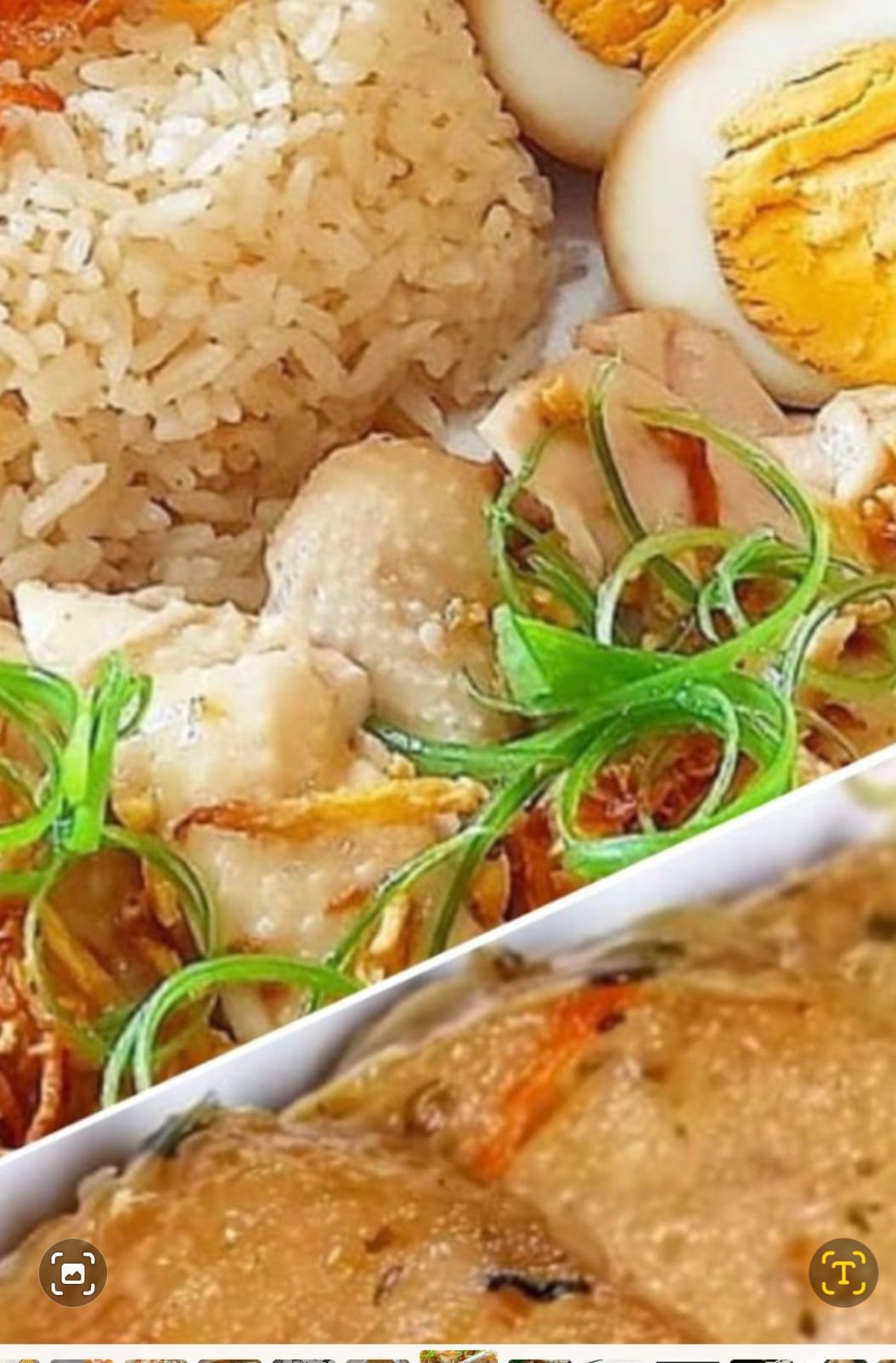 Indonesian Nasi Hainam