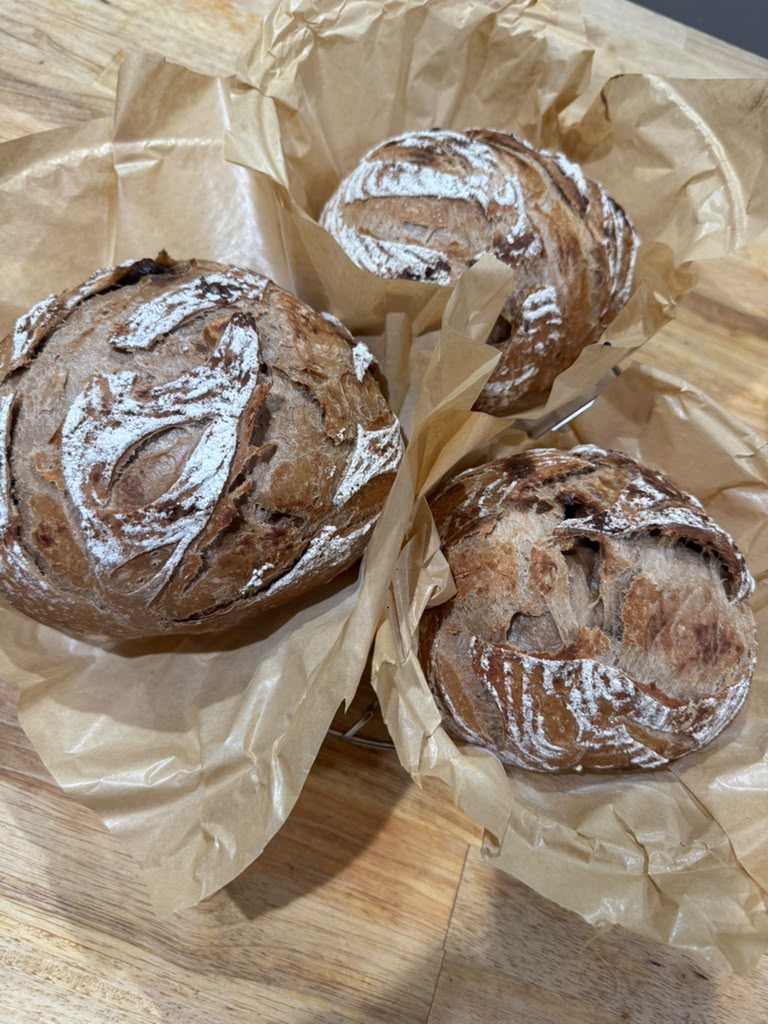 Milo Chocolate Walnut Sourdough