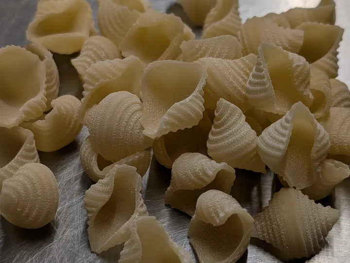 Conchiglie 12oz